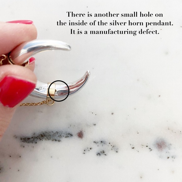 🆑 "Kinsey" Necklace || Silver & Gold Horn Pendant - Picture 14 of 16